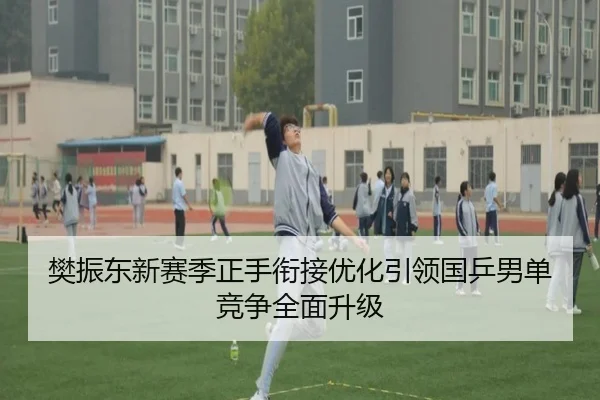 樊振东新赛季正手衔接优化引领国乒男单竞争全面升级
